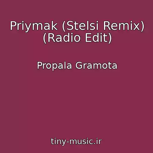 کاور آهنگ Priymak (Stelsi Remix) (Radio Edit) از Propala Gramota