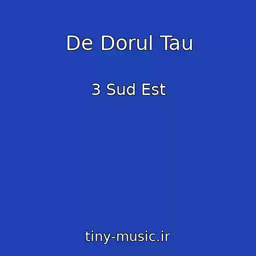 کاور آهنگ De Dorul Tau از 3 Sud Est