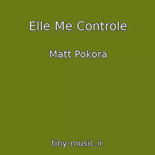 کاور آهنگ Elle Me Controle از Matt Pokora