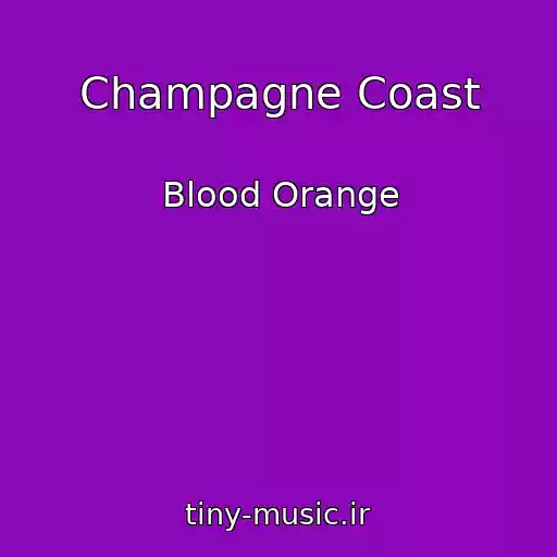 کاور آهنگ Champagne Coast از Blood Orange