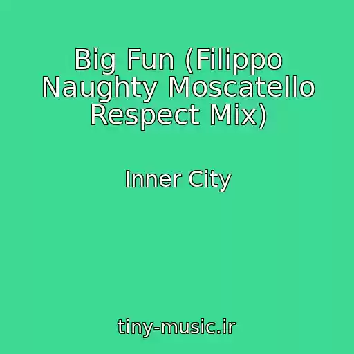 کاور آهنگ Big Fun (Filippo Naughty Moscatello Respect Mix) از Inner City