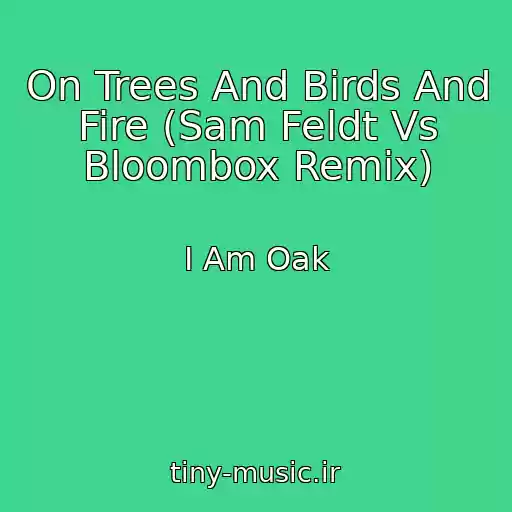 کاور آهنگ On Trees And Birds And Fire (Sam Feldt Vs Bloombox Remix) از I Am Oak