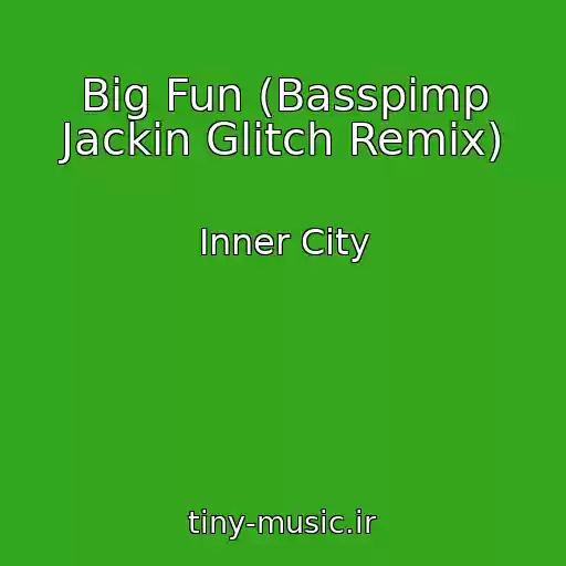 کاور آهنگ Big Fun (Basspimp Jackin Glitch Remix) از Inner City