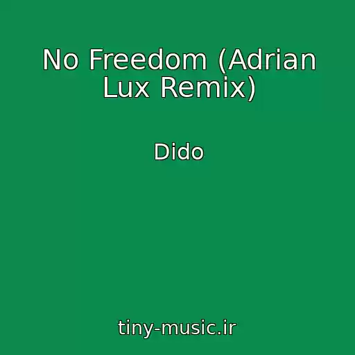 کاور آهنگ No Freedom (Adrian Lux Remix) از Dido