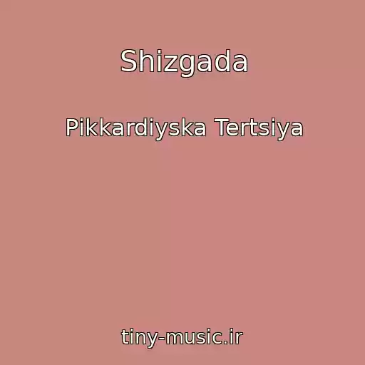 کاور آهنگ Shіzgada از Pіkkardіyska Tertsіya