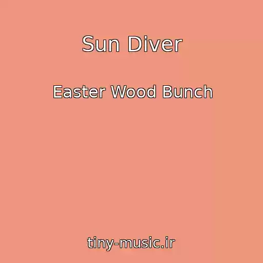 کاور آهنگ Sun Diver از Easter Wood Bunch