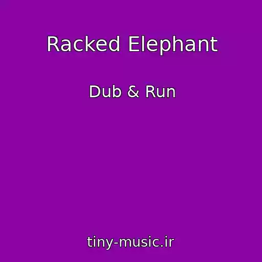 کاور آهنگ Racked Elephant از Dub & Run