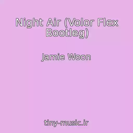 کاور آهنگ Night Air (Volor Flex Bootleg) از Jamie Woon
