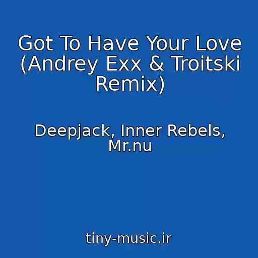 کاور آهنگ Got To Have Your Love (Andrey Exx & Troitski Remix) از Deepjack, Inner Rebels, Mr.nu