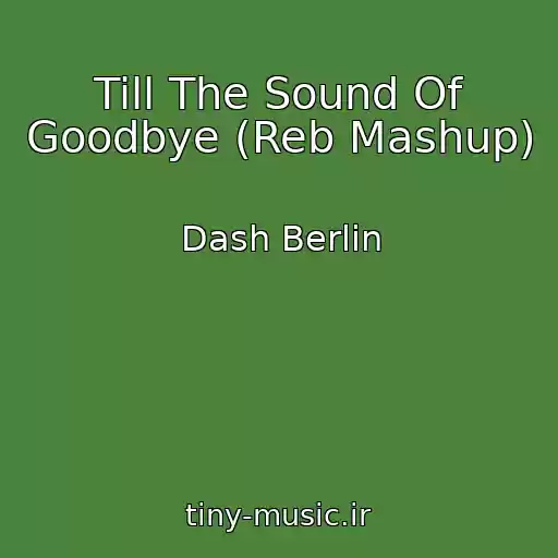 کاور آهنگ Till The Sound Of Goodbye (Reb Mashup) از Dash Berlin