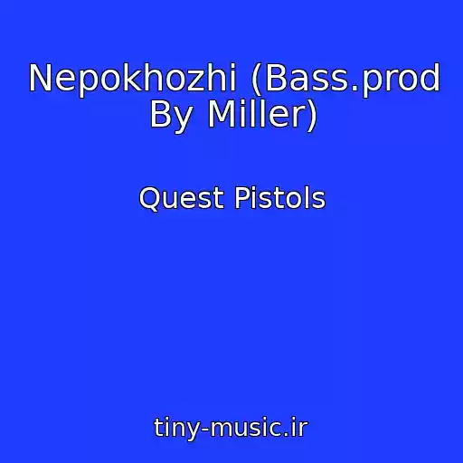 کاور آهنگ Nepokhozhi (Bass.prod By Miller) از Quest Pistols