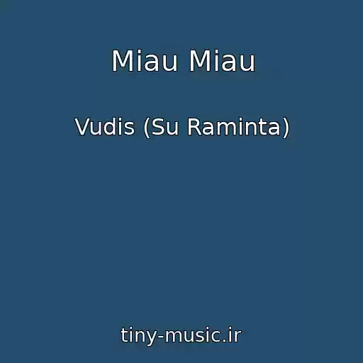 کاور آهنگ Miau Miau از Vudis (Su Raminta)