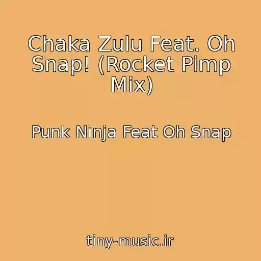 کاور آهنگ Chaka Zulu Feat. Oh Snap! (Rocket Pimp Mix) از Punk Ninja Feat Oh Snap