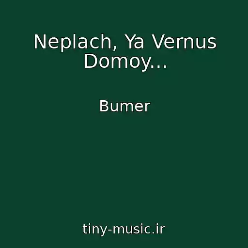 کاور آهنگ Neplach, Ya Vernus Domoy... از Bumer