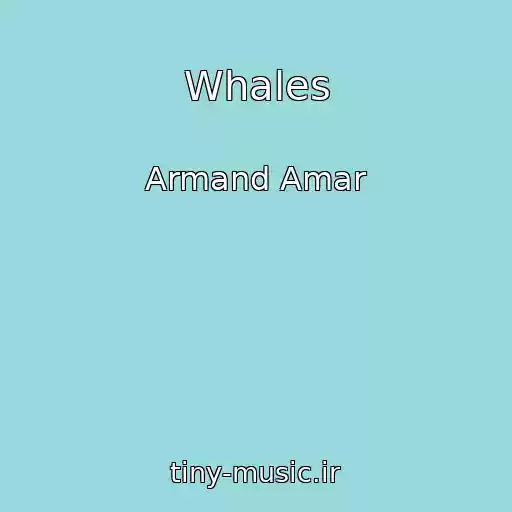 کاور آهنگ Whales از Armand Amar