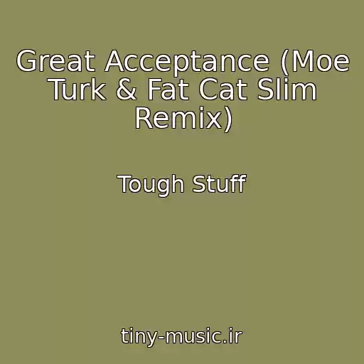 کاور آهنگ Great Acceptance (Moe Turk & Fat Cat Slim Remix) از Tough Stuff