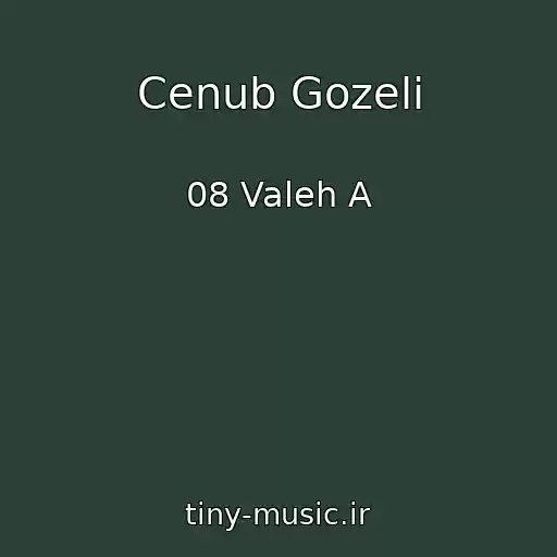 کاور آهنگ Cenub Gozeli از 08 Valeh A