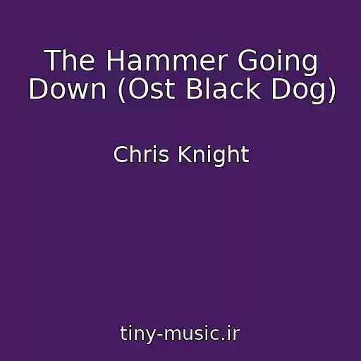 کاور آهنگ The Hammer Going Down (Ost Black Dog) از Chris Knight