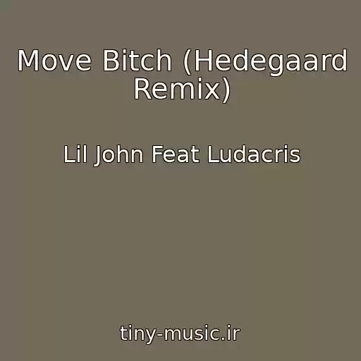 کاور آهنگ Move Bitch (Hedegaard Remix) از Lil John Feat Ludacris