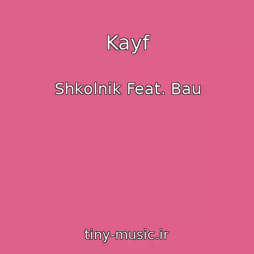 کاور آهنگ Kayf از Shkolnik Feat. Bau