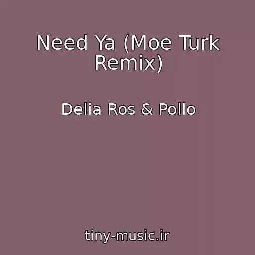 کاور آهنگ Need Ya (Moe Turk Remix) از Delia Ros & Pollo