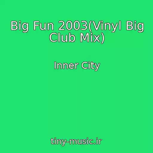 کاور آهنگ Big Fun 2003(Vinyl Big Club Mix) از Inner City
