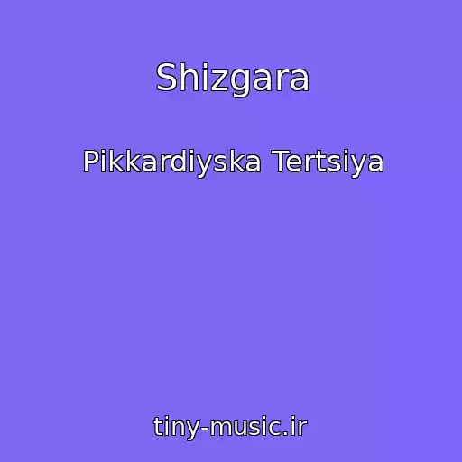 کاور آهنگ Shіzgara از Pіkkardіyska Tertsіya