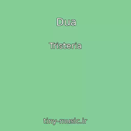 کاور آهنگ Dua از Tristeria
