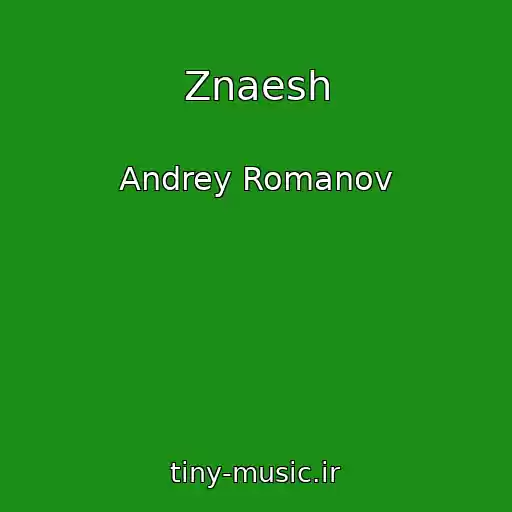 کاور آهنگ Znaesh از Andrey Romanov