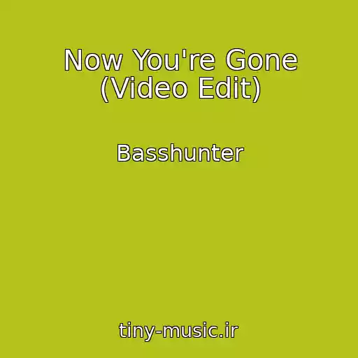 کاور آهنگ Now You're Gone (Video Edit) از Basshunter