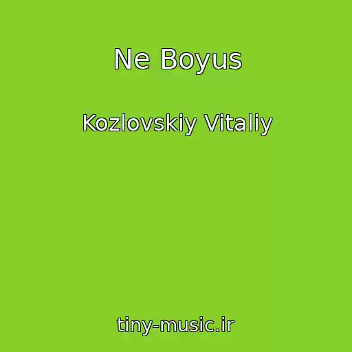 کاور آهنگ Ne Boyus از Kozlovskiy Vitaliy