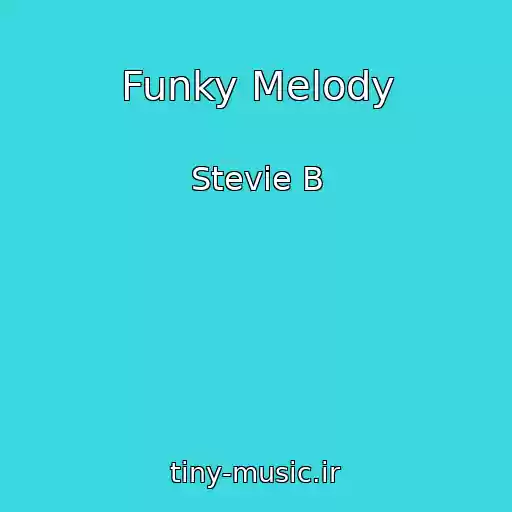 کاور آهنگ Funky Melody از Stevie B