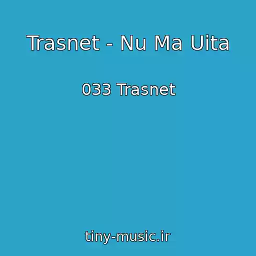کاور آهنگ Trasnet - Nu Ma Uita از 033 Trasnet