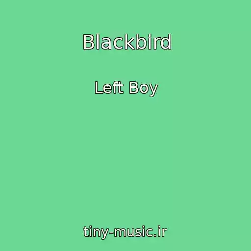 کاور آهنگ Blackbird از Left Boy