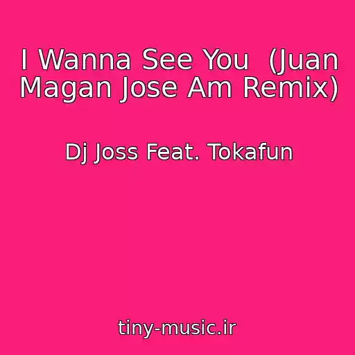کاور آهنگ I Wanna See You  (Juan Magan Jose Am Remix) از Dj Joss Feat. Tokafun