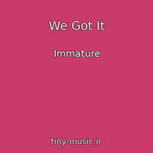 کاور آهنگ We Got It از Immature