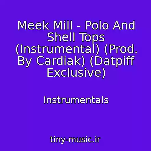 کاور آهنگ Meek Mill - Polo And Shell Tops (Instrumental) (Prod. By Cardiak) (Datpiff Exclusive) از Instrumentals
