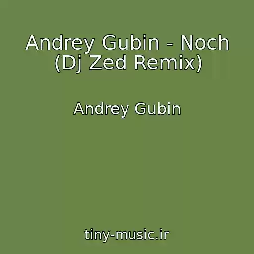 کاور آهنگ Andrey Gubin - Noch (Dj Zed Remix) از Andrey Gubin