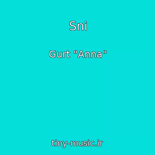 کاور آهنگ Sni از Gurt "Anna"