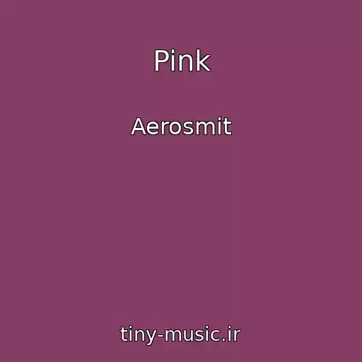 کاور آهنگ Pink از Aerosmit
