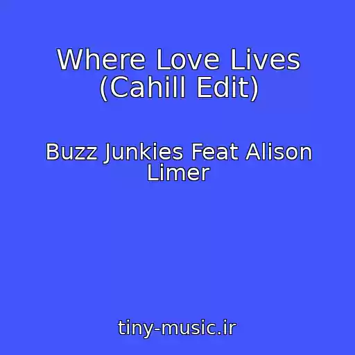 کاور آهنگ Where Love Lives (Cahill Edit) از Buzz Junkies Feat Alison Limer