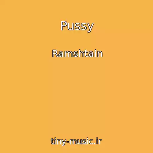 کاور آهنگ Pussy از Ramshtain