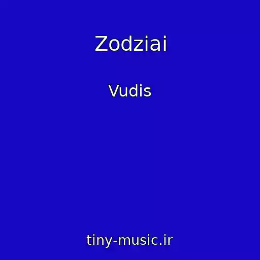 کاور آهنگ Zodziai از Vudis
