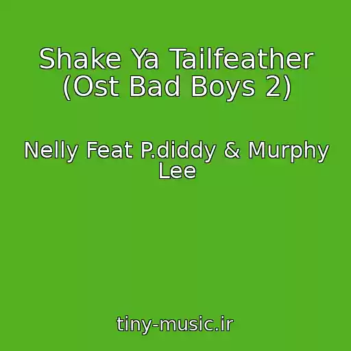 کاور آهنگ Shake Ya Tailfeather (Ost Bad Boys 2) از Nelly Feat P.diddy & Murphy Lee