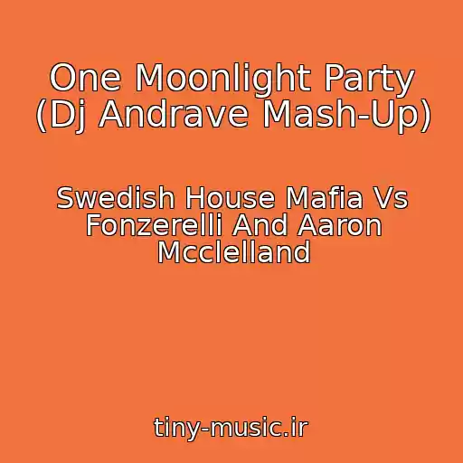 کاور آهنگ One Moonlight Party (Dj Andrave Mash-Up) از Swedish House Mafia Vs Fonzerelli And Aaron Mcclelland