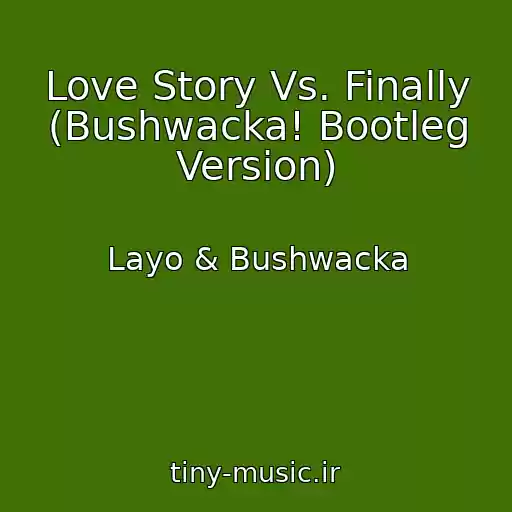 کاور آهنگ Love Story Vs. Finally (Bushwacka! Bootleg Version) از Layo & Bushwacka