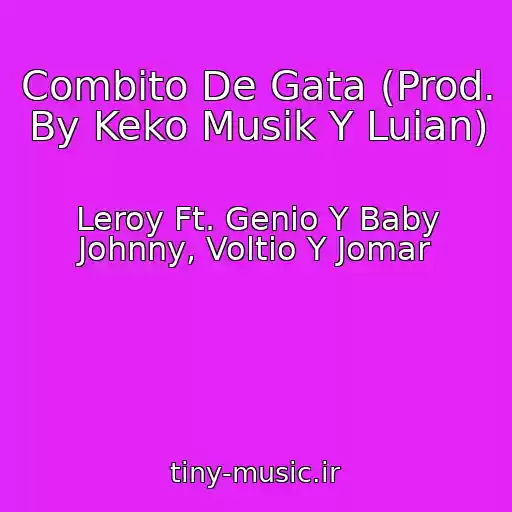 کاور آهنگ Combito De Gata (Prod. By Keko Musik Y Luian) از Leroy Ft. Genio Y Baby Johnny, Voltio Y Jomar