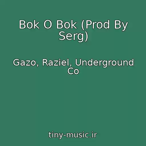 کاور آهنگ Bok O Bok (Prod By Serg) از Gazo, Raziel, Underground Co