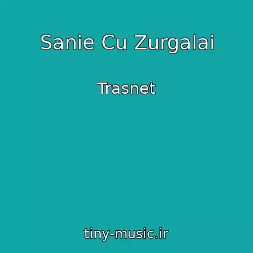 کاور آهنگ Sanie Cu Zurgalai از Trasnet