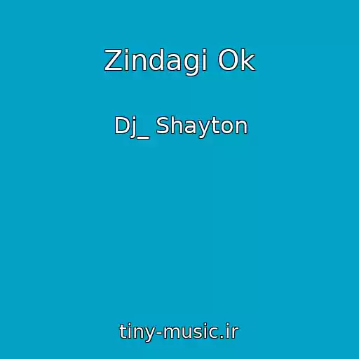 کاور آهنگ Zindagi Ok از Dj_ Shayton